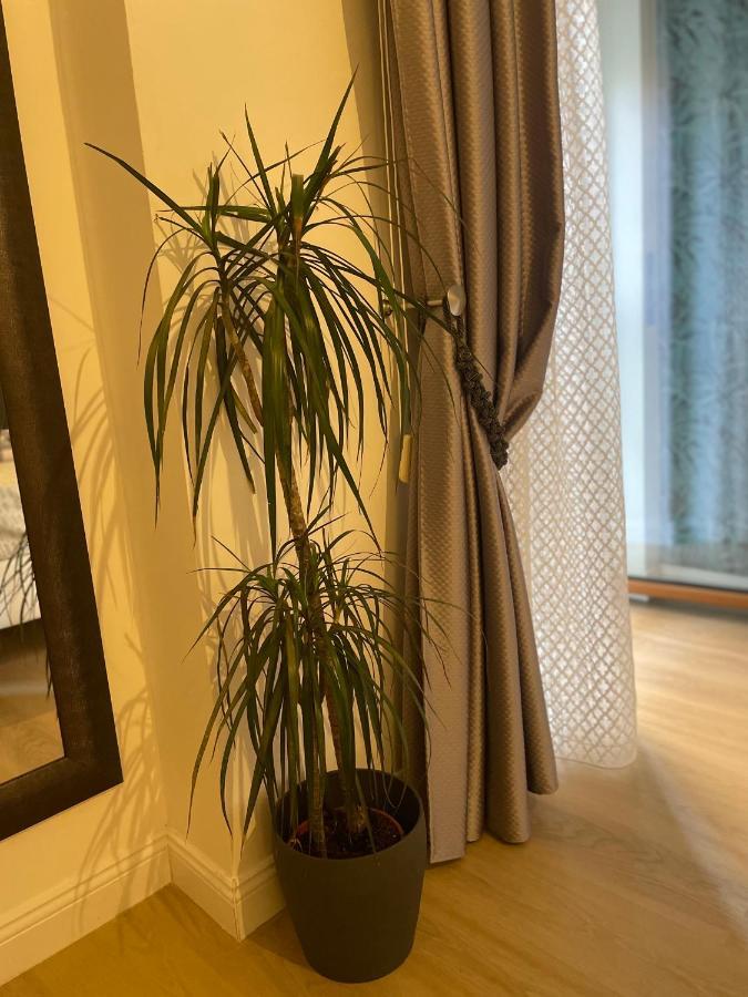 Carducci 83 Bed & Breakfast Pescara Bagian luar foto