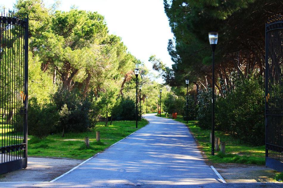 Carducci 83 Bed & Breakfast Pescara Bagian luar foto
